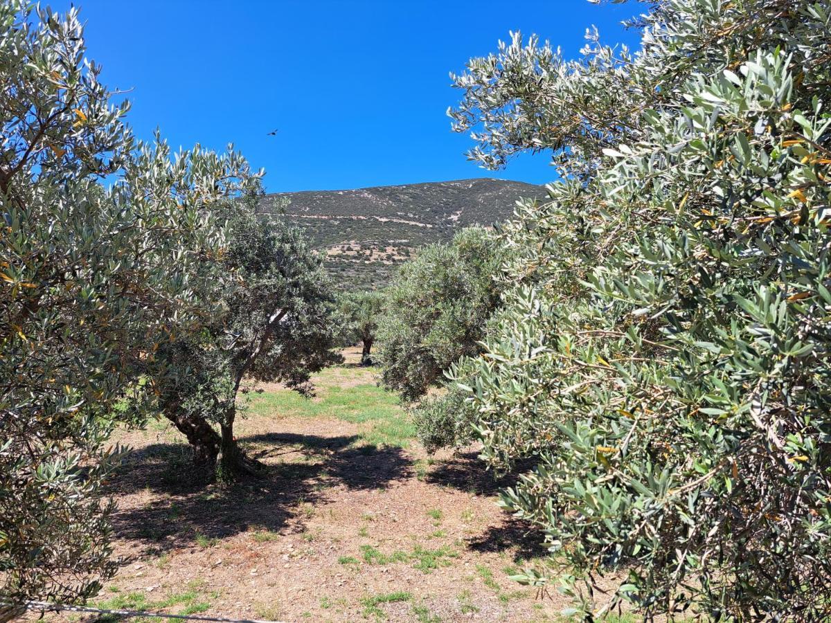 Apartmán Madilides Platis Gialos  Exteriér fotografie