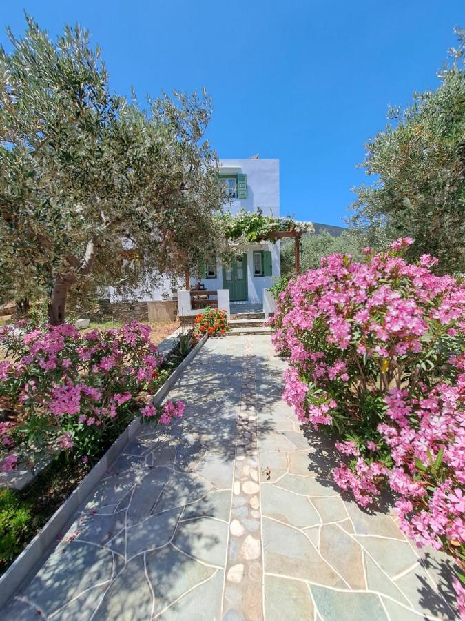 Apartmán Madilides Platis Gialos  Exteriér fotografie